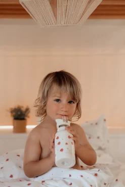 Termoflaske rustfrit stål - 350ml - Ladybug