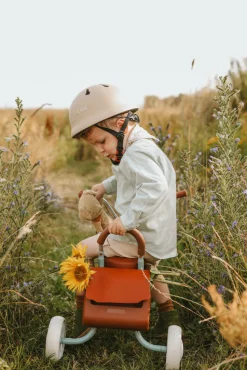 Trehjulet cykel - Pale Jade