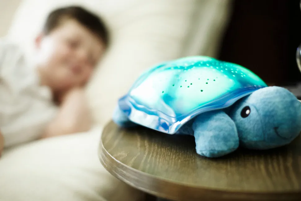 Twilight Turtle Blue