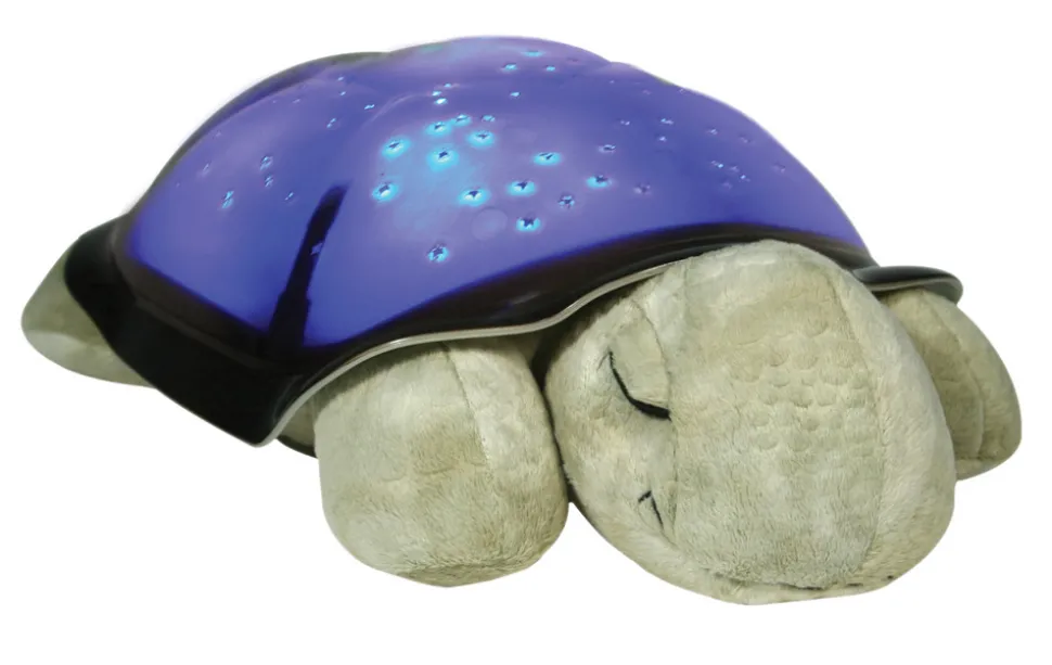 Twilight Turtle, Mocha