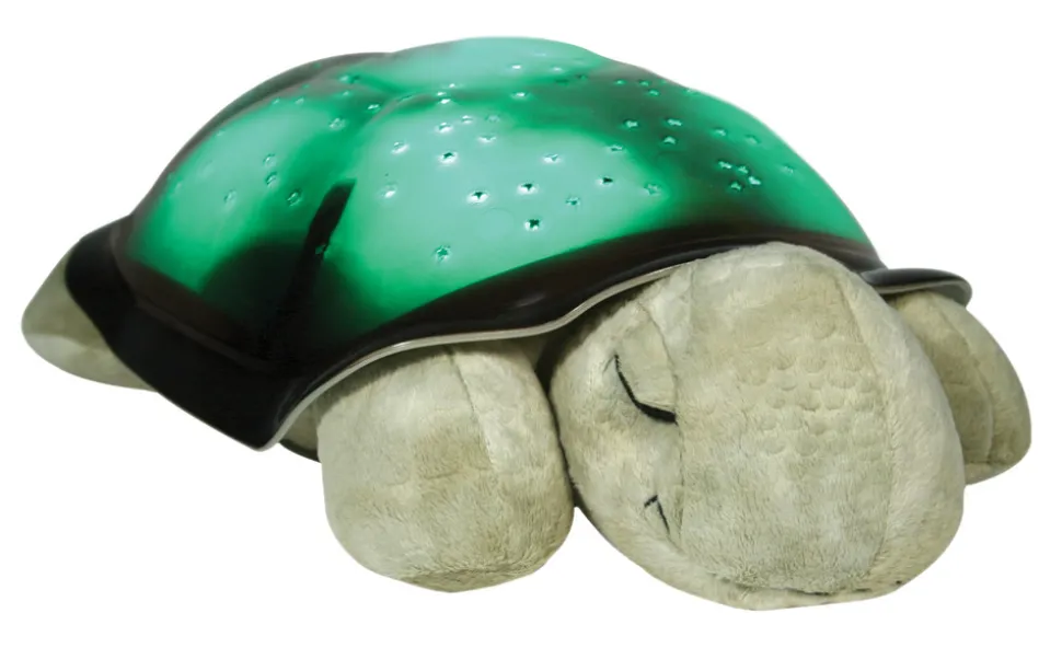 Twilight Turtle, Mocha