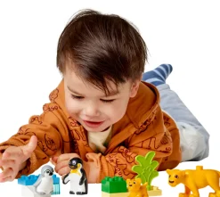 Vilde dyrefamilier: pingviner og løver 10442