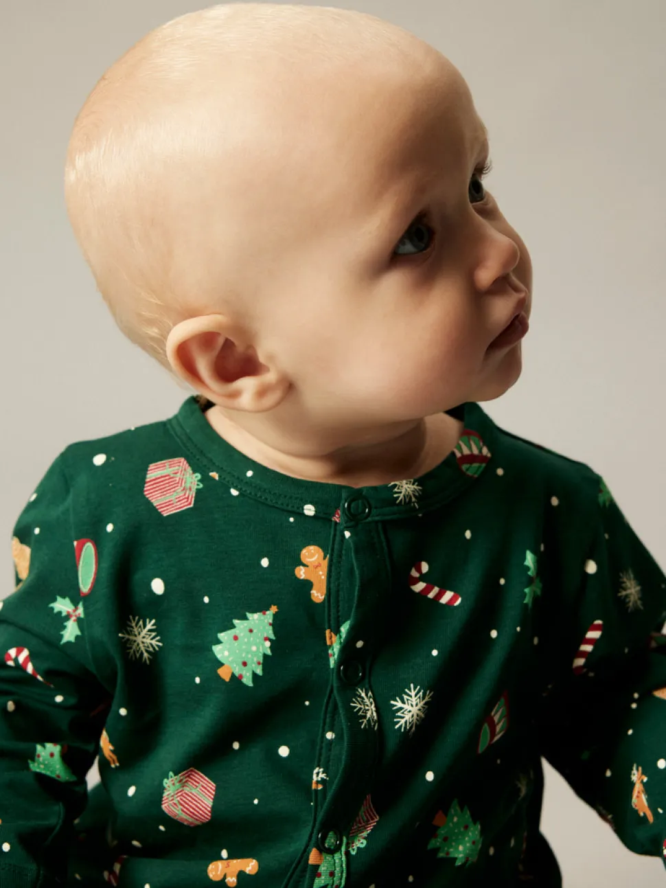 Vismas natdragt - Botanical Garden