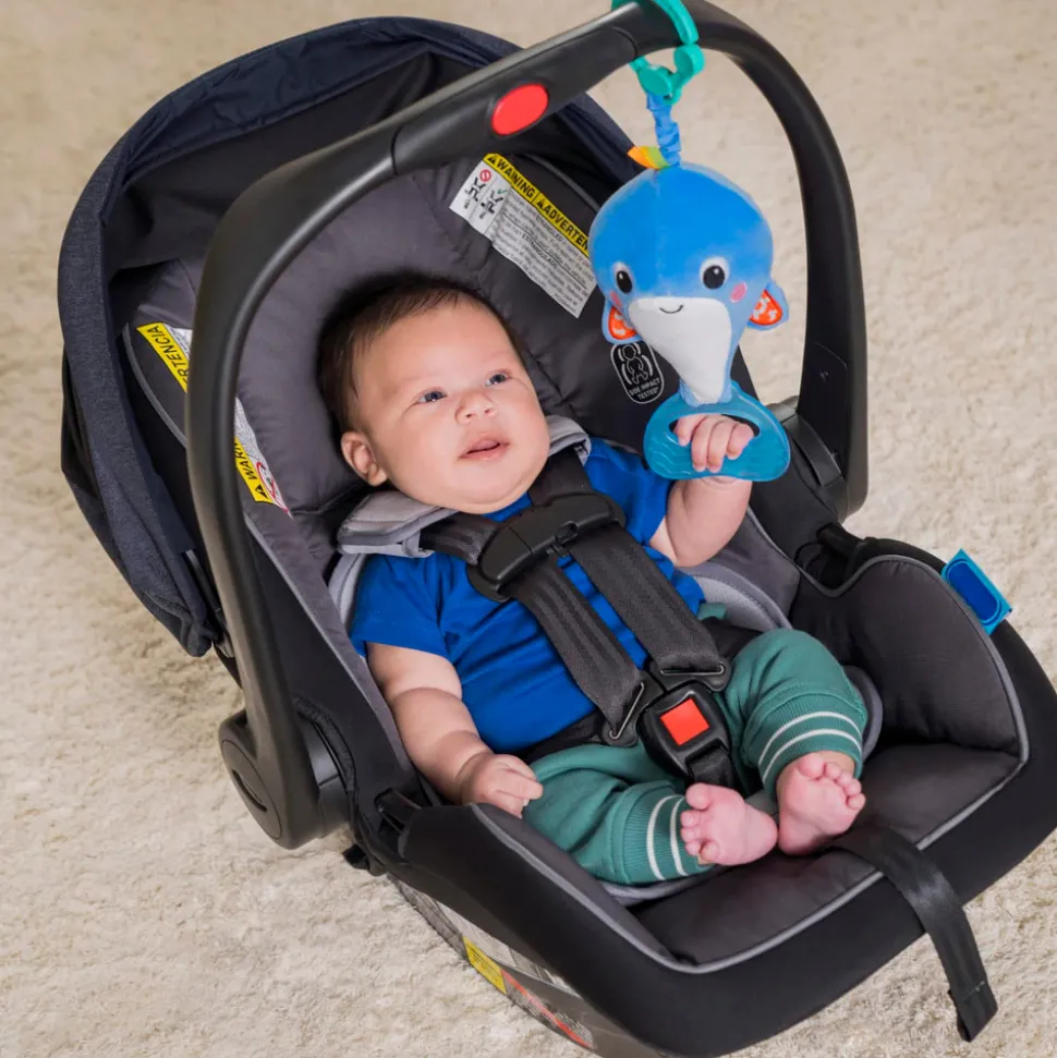 Whale-a-roo pull & shake aktivitets-hval