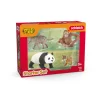 Wild Life "Asia" Starter Set