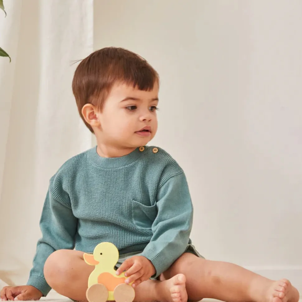 Wooden Duck on Wheel